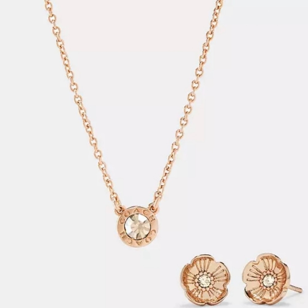 COACH Open Circle Stone Necklace & Tea Rose Stud Earrings Set